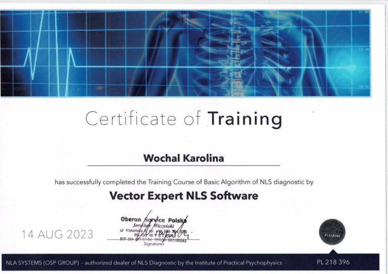 Certyfikat Vector Expert NLS Software